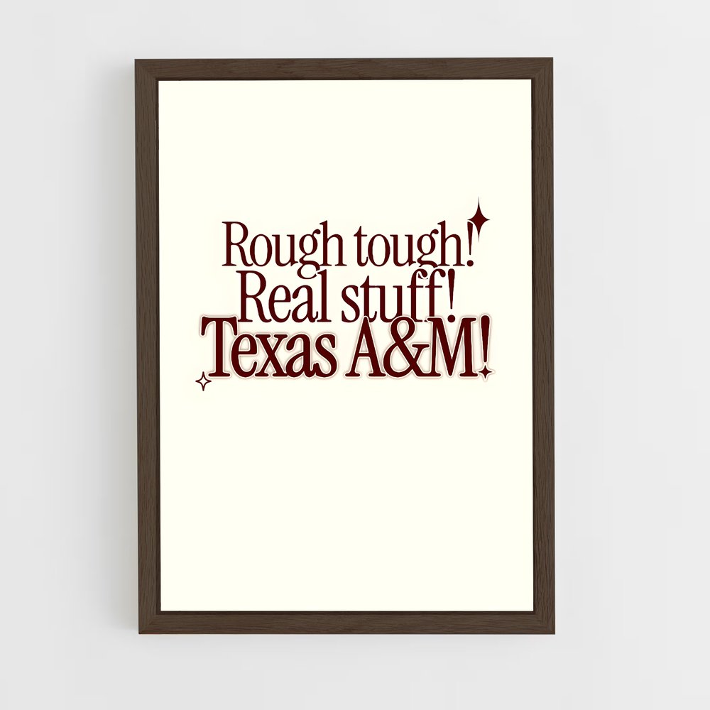 Poster Texas aandm Texanes – affiche Baseball (vue 5)